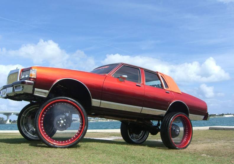 donks.jpg