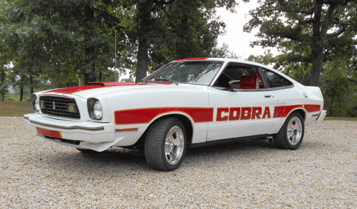 driver-front.gif