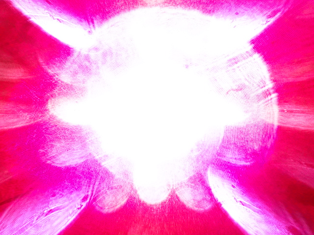 DSC00049.JPG