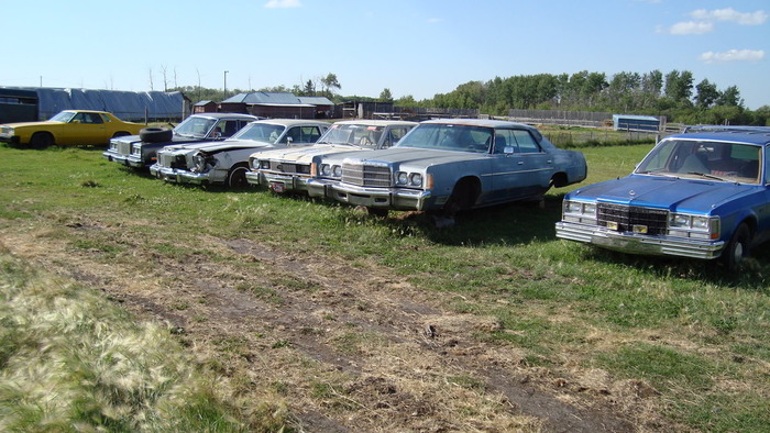 DSC00124.jpg