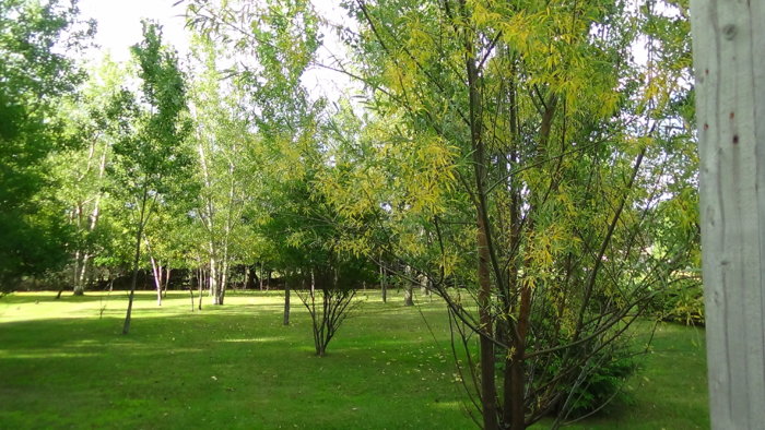 DSC00309.JPG