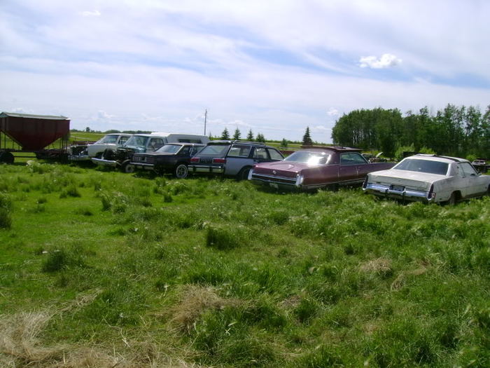 DSC00571.jpg