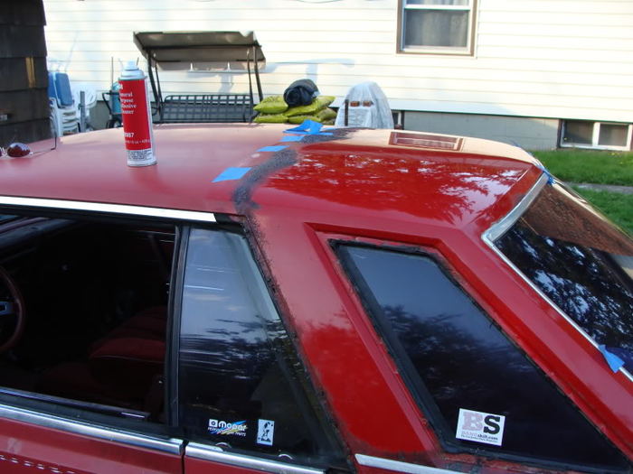 DSC01347.jpg