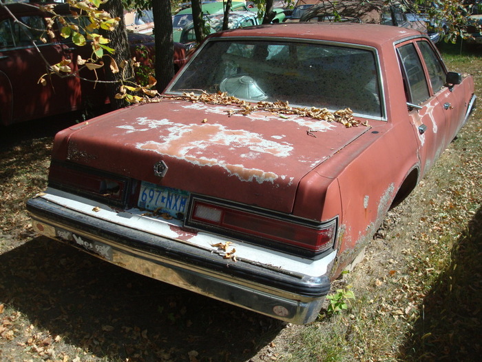 DSC06459.jpg