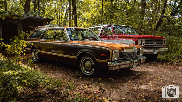 DSC_2773(2).jpg