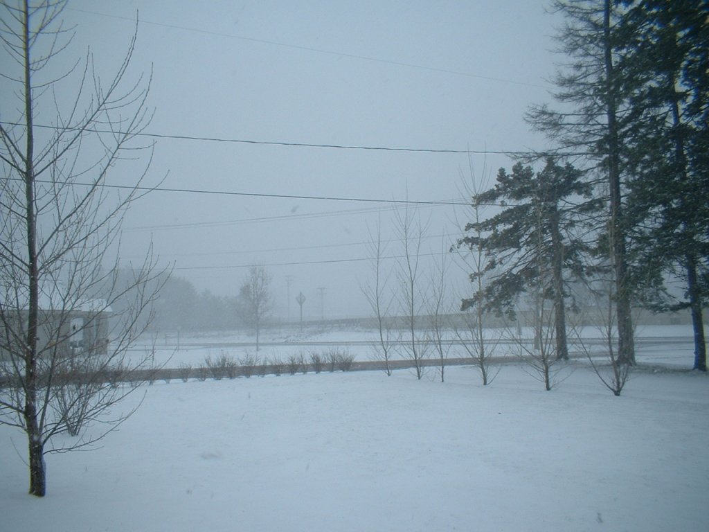DSCF0001 (1).JPG