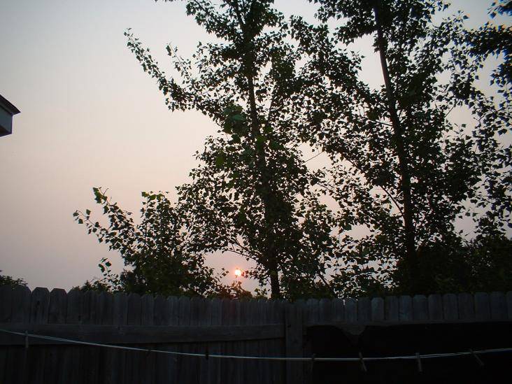 DSCF0001.jpg