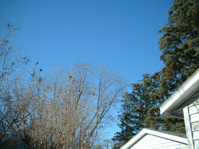 DSCF0001.JPG