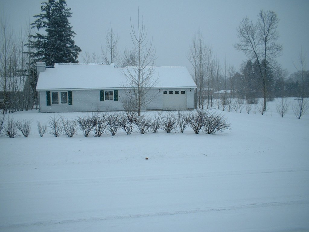 DSCF0001.JPG