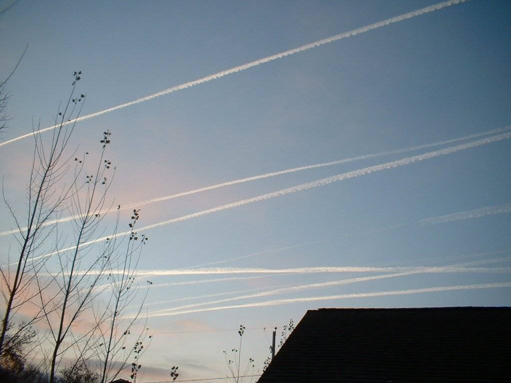 DSCF0001.JPG