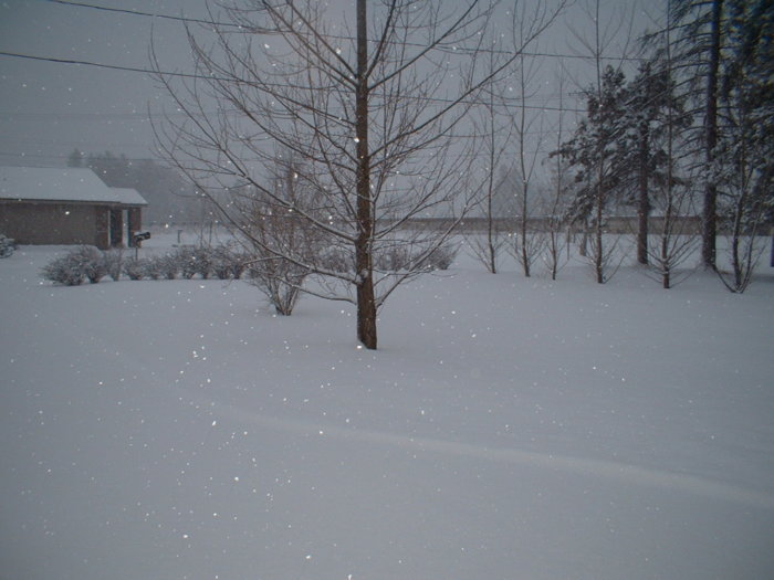 DSCF0001.JPG
