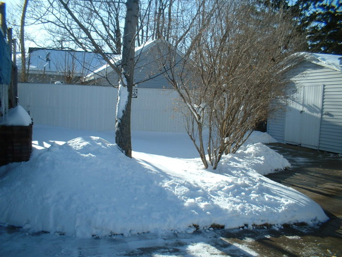 DSCF0001.JPG