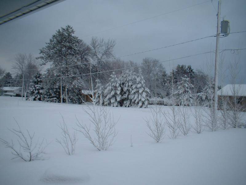 DSCF0001.jpg