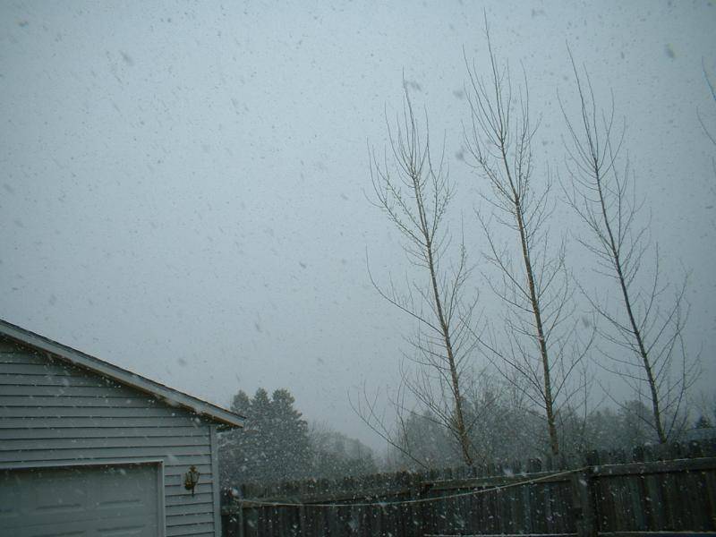 DSCF0001.jpg