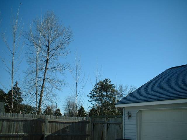 DSCF0002.JPG
