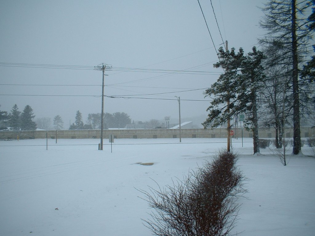 DSCF0002.JPG