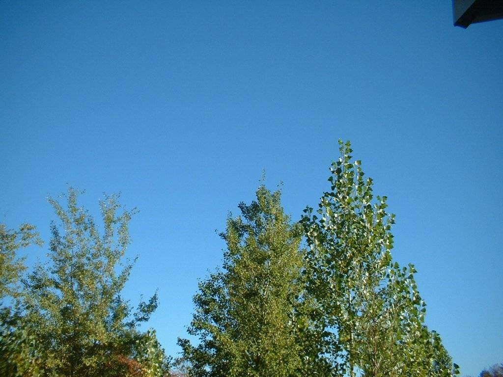 DSCF0002.JPG