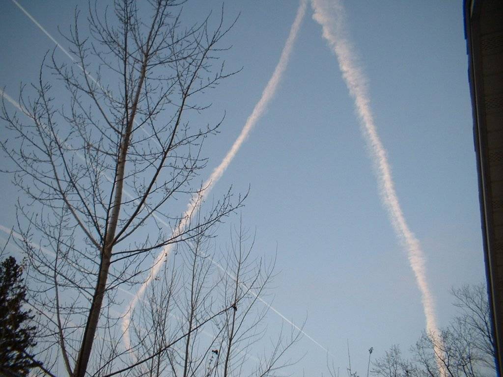 DSCF0002.JPG