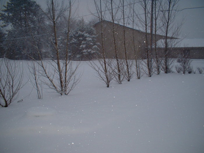 DSCF0002.JPG