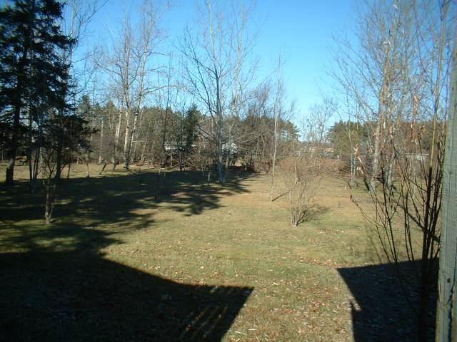DSCF0003.JPG