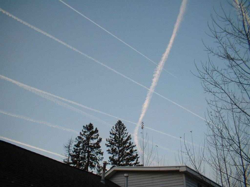 DSCF0003.JPG