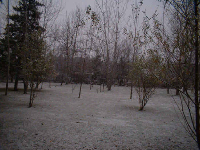 DSCF0003.JPG