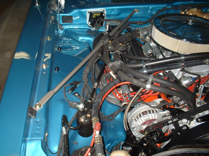 DSCF0007.JPG