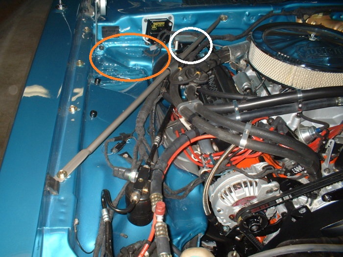 DSCF0007m.jpg