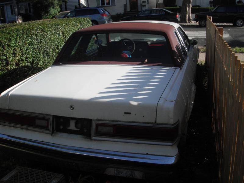 DSCF1791.jpg