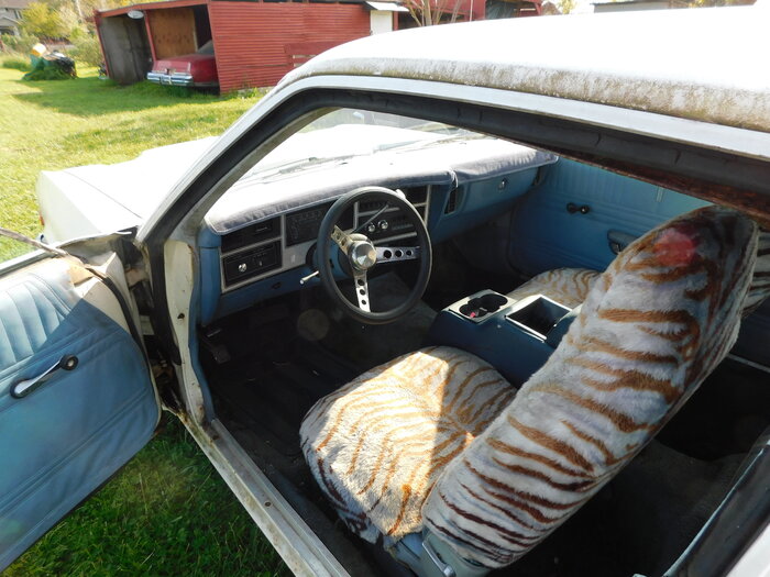 DSCN0240.JPG