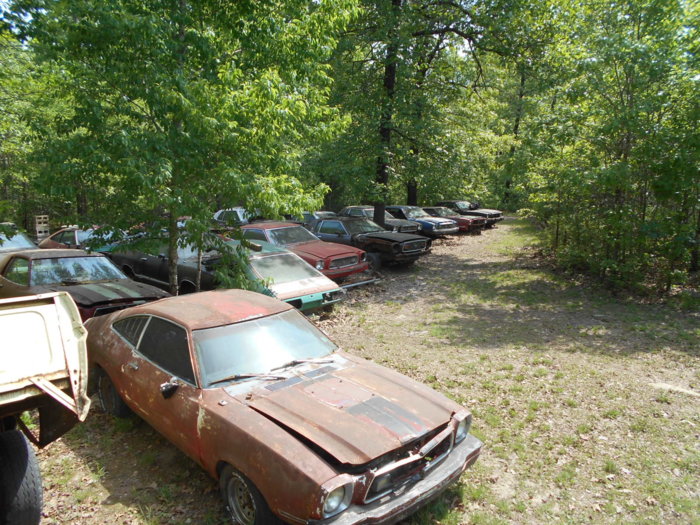 DSCN0815.JPG