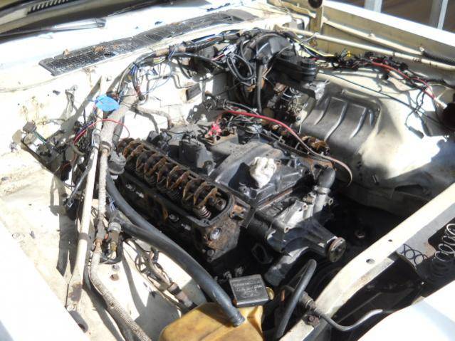 DSCN1563.jpg