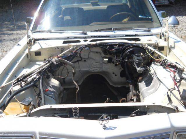 DSCN1600.jpg