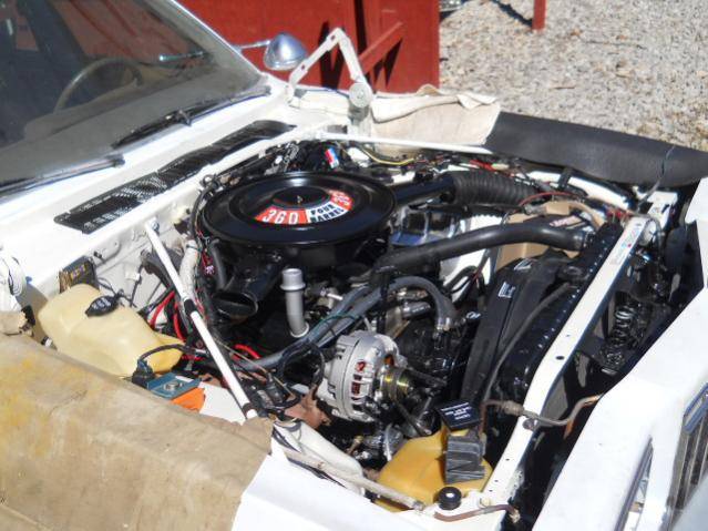DSCN1950.jpg