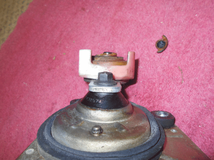 DSCN2015.gif