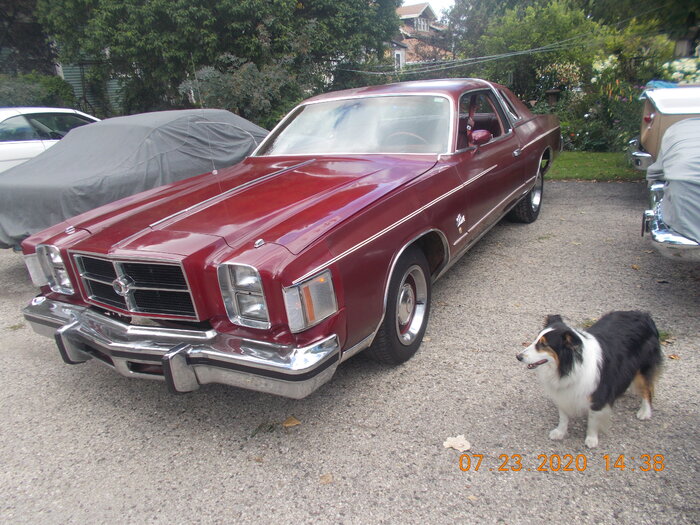 DSCN4378.JPG