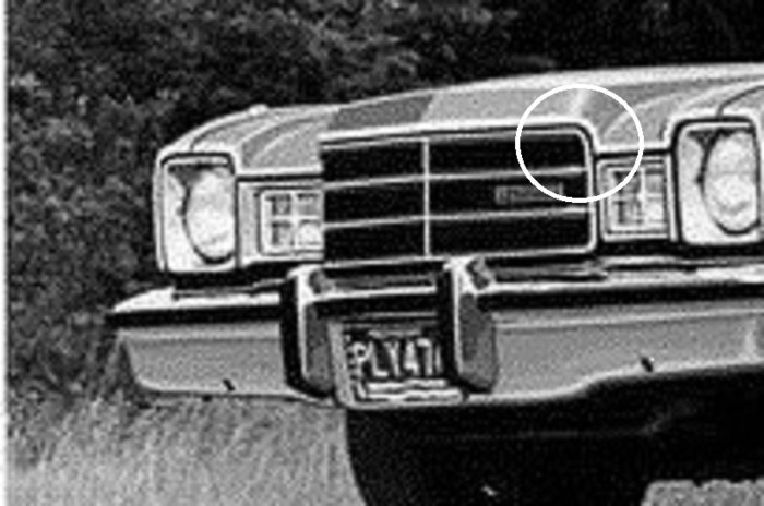 Early Runner - Copy.jpg