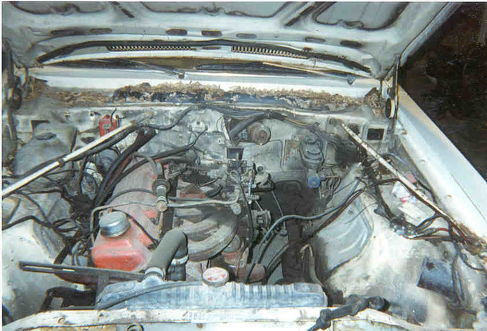 earlyvolare6cylinder.jpg