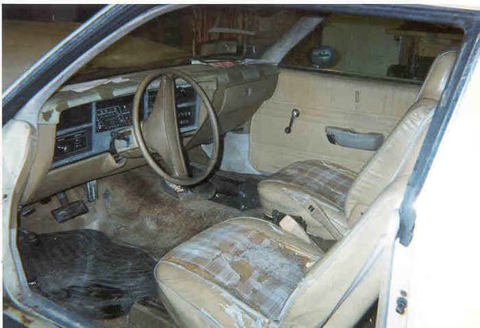 earlyvolareinterior.jpg
