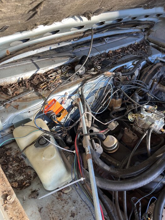 Engine bay shot 1.jpg