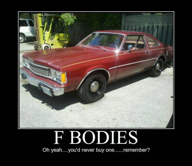 f bodies 2.jpg
