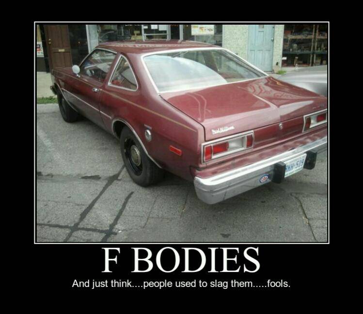 f bodies.jpg
