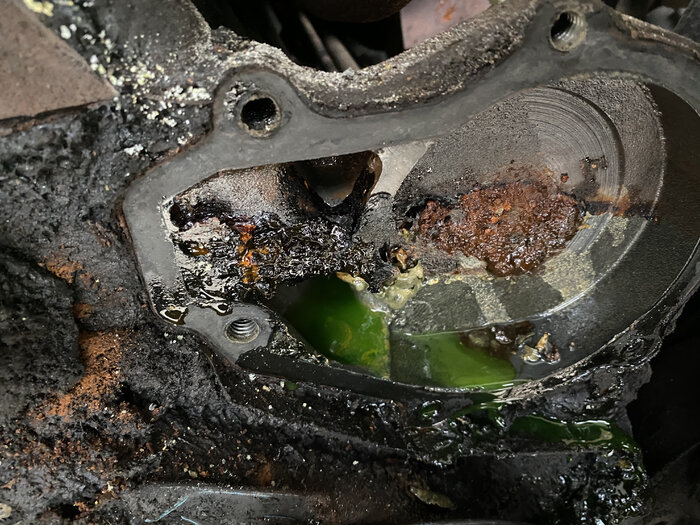 F074BCDE-433D-4F2A-8F5B-2D302B79B9C5.jpeg