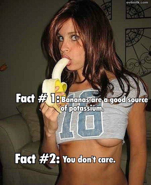 Facts.jpg