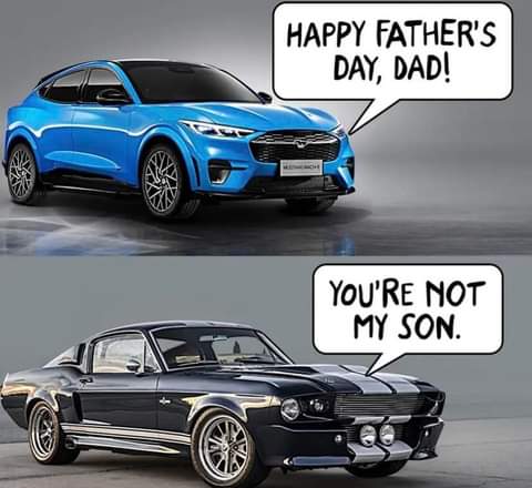 FB_IMG_1670911638296.jpg