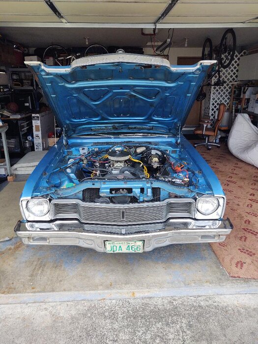 fef.jpg