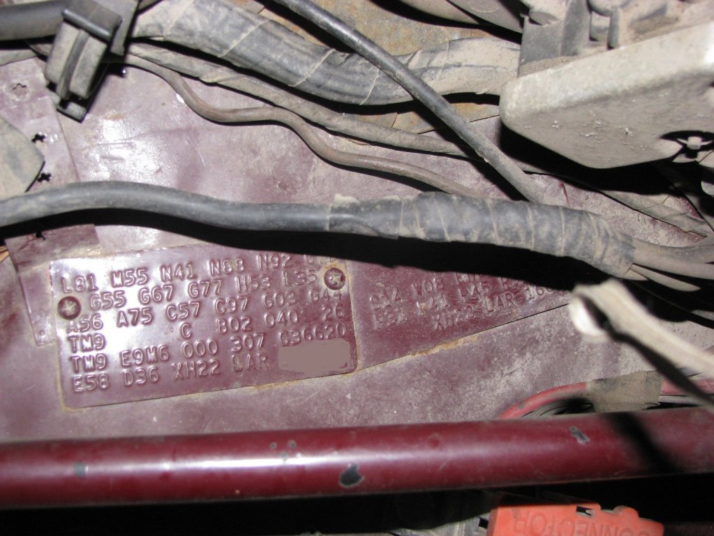 fendertag.jpg
