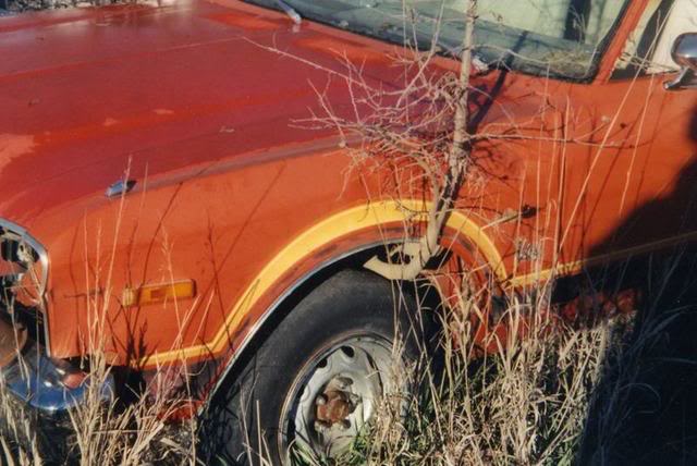 File0004-1.jpg