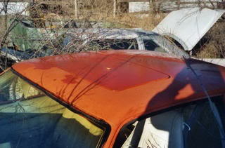 File0006.jpg