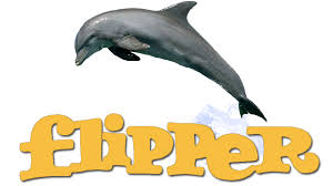 flip1604.jpg